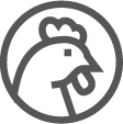 蛋雞系統(tǒng)